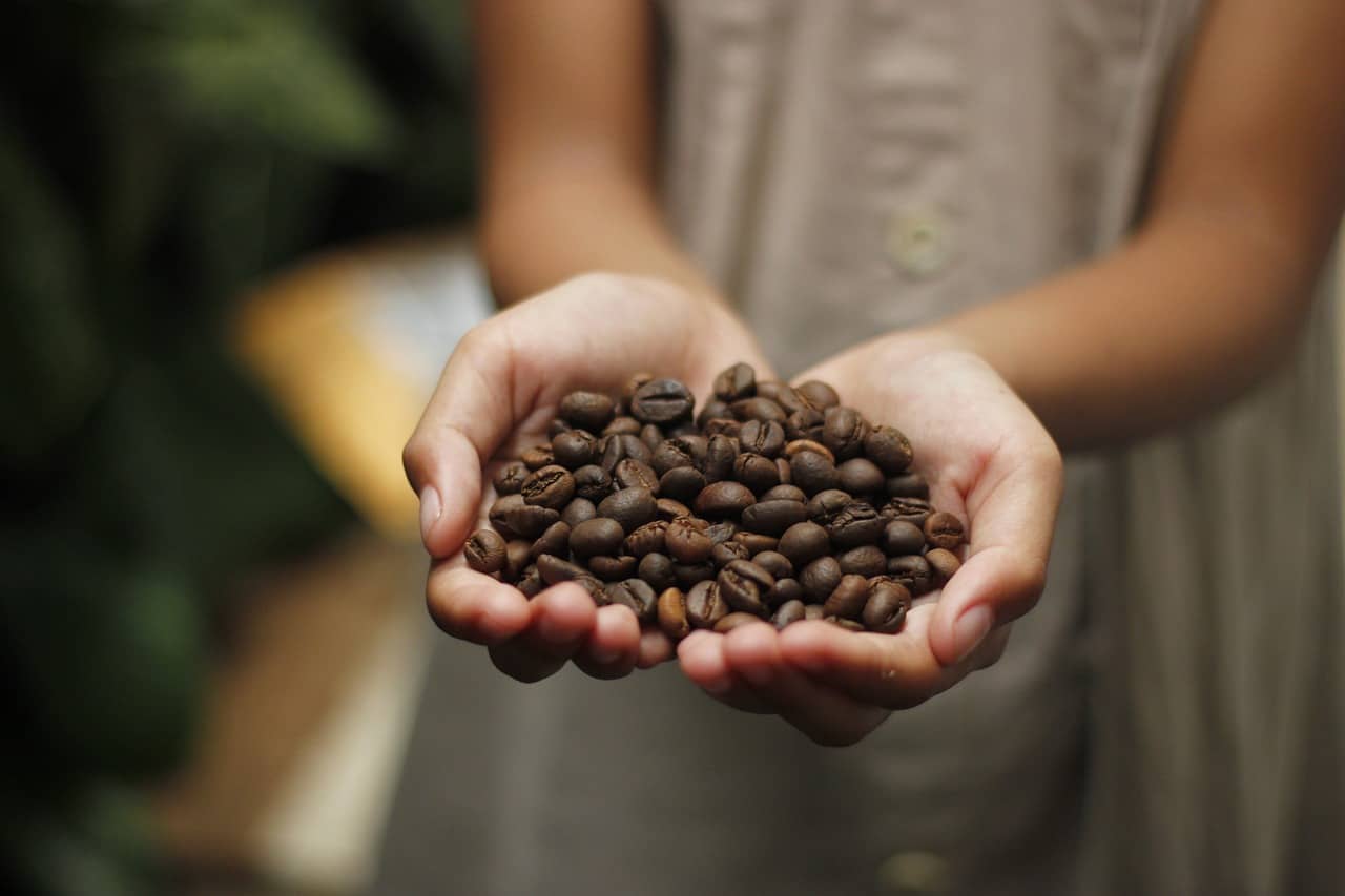 coffee beans in a girls hand