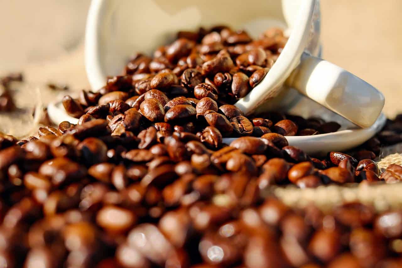 coffee beans with a cup